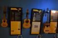 /album/exposicion-de-instrumentos-musicales-lathier/dsc-0131-jpg/